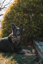 Load image into Gallery viewer, Fireside