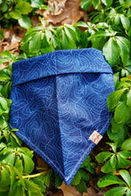 Load image into Gallery viewer, MYSTERY Bandana