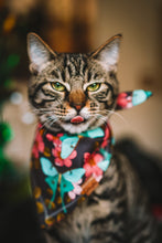 Load image into Gallery viewer, MYSTERY Bandana