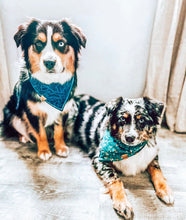 Load image into Gallery viewer, MYSTERY Bandana