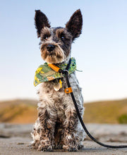Load image into Gallery viewer, MYSTERY Bandana