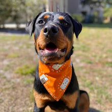 Load image into Gallery viewer, MYSTERY Bandana