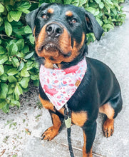 Load image into Gallery viewer, MYSTERY Bandana
