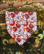 Load image into Gallery viewer, MYSTERY Bandana