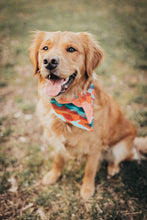 Load image into Gallery viewer, MYSTERY Bandana
