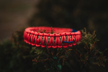 Load image into Gallery viewer, King Cobra Paracord Buckle Dog Collar
